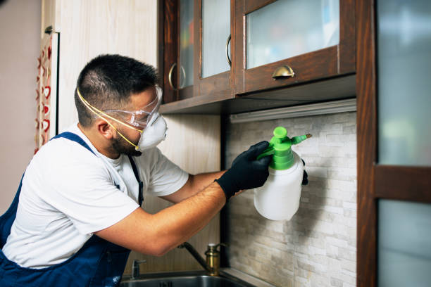 Best Exterminator Services  in Joanna, SC