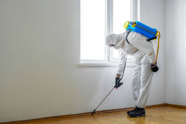 Best Affordable Pest Control Services  in Joanna, SC
